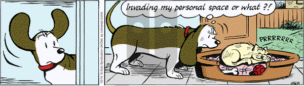 Fred Basset on Wednesday December 14, 2016 Comic Strip