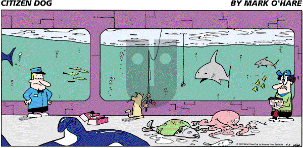 Citizen Dog on Sunday March 9, 2025 Comic Strip