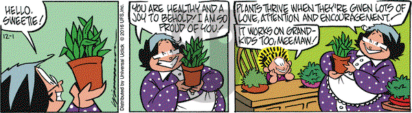 Rose is Rose on Thursday December 1, 2016 Comic Strip