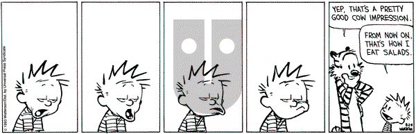 Calvin and Hobbes on Tuesday August 24, 1993 Comic Strip