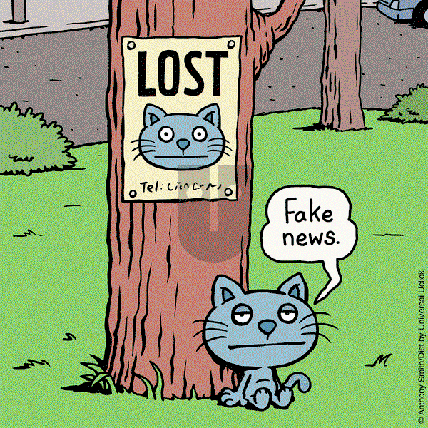 Cattitude — Doggonit - Wednesday October 9, 2024 Comic Strip