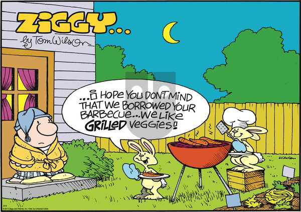Ziggy - Sunday March 16, 2014 Comic Strip