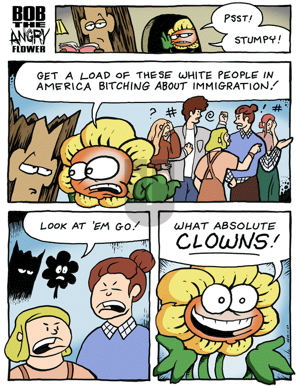 Bob the Angry Flower on Monday December 2, 2024 Comic Strip