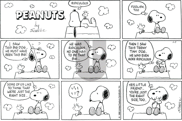 Peanuts - Sunday January 7, 1990 Comic Strip