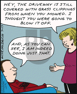 Real Life Adventures on Saturday July 17, 2010 Comic Strip