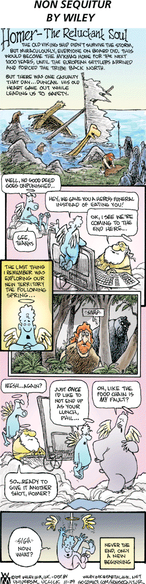 Non Sequitur on Sunday November 29, 2009 Comic Strip