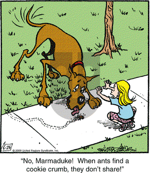 Marmaduke on Friday June 26, 2009 Comic Strip