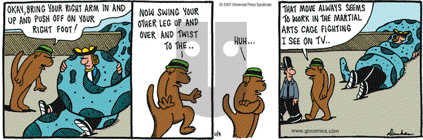 Overboard on Friday November 9, 2007 Comic Strip