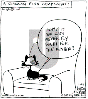 Kit 'N' Carlyle on Monday February 24, 2003 Comic Strip