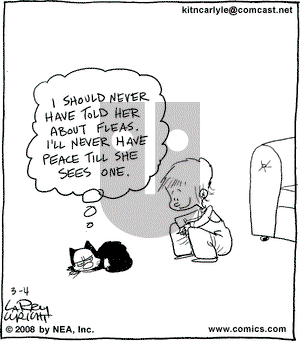 Kit 'N' Carlyle on Tuesday March 4, 2008 Comic Strip