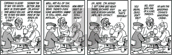 Doonesbury on Wednesday June 16, 1982 Comic Strip