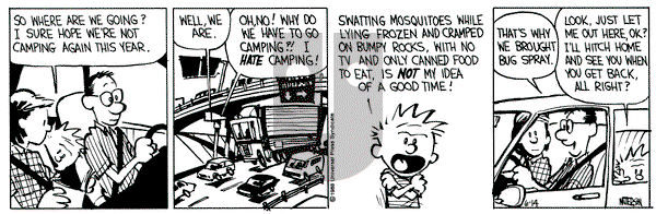 Calvin and Hobbes on Tuesday June 14, 1988 Comic Strip