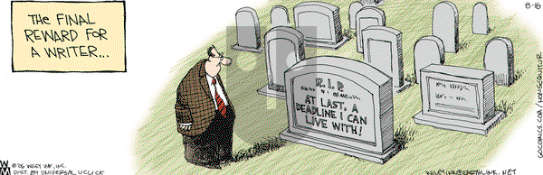 Non Sequitur - Monday August 16, 2010 Comic Strip