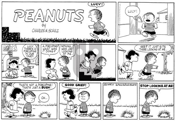 Peanuts on Sunday September 2, 1956 Comic Strip