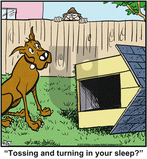Marmaduke on Monday October 25, 2021 Comic Strip