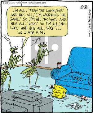 In the Bleachers - Tuesday July 9, 2002 Comic Strip