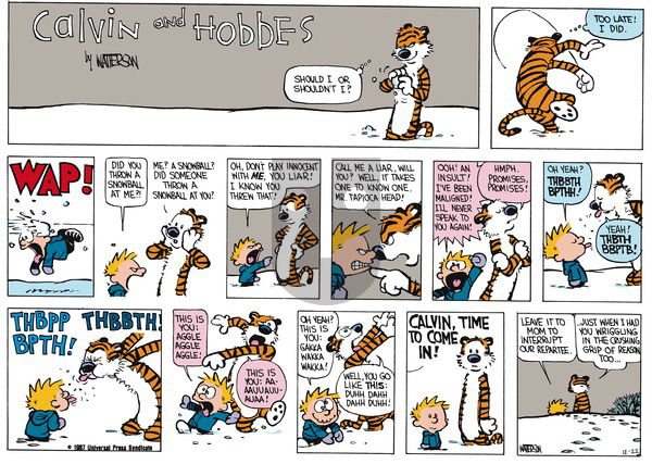 Calvin and Hobbes - Sunday January 18, 1987 Comic Strip