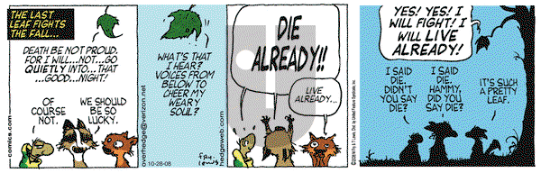 Over the Hedge on Tuesday October 28, 2008 Comic Strip