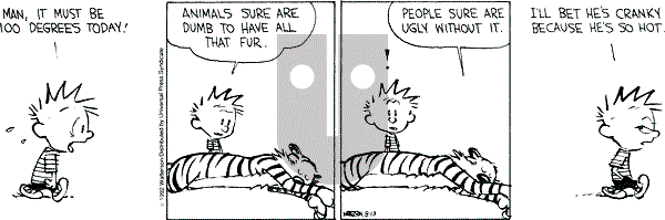 Calvin and Hobbes - Thursday August 13, 1992 Comic Strip