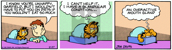 Garfield on Wednesday February 27, 1980 Comic Strip