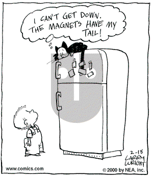 Kit 'N' Carlyle on Friday February 18, 2000 Comic Strip