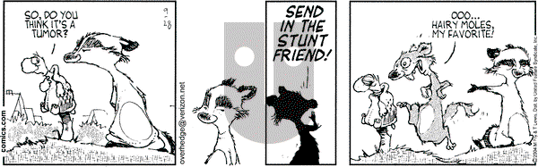 Over the Hedge on Tuesday September 28, 2004 Comic Strip