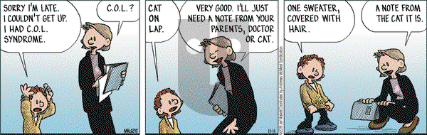 Frazz on Monday November 11, 2019 Comic Strip