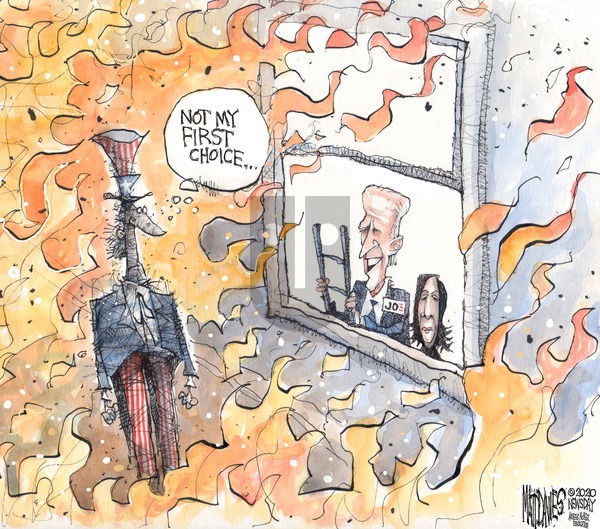 Matt Davies on Sunday August 23, 2020 Comic Strip