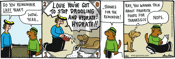 Overboard on Saturday November 21, 2020 Comic Strip