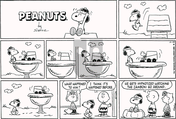Peanuts - Sunday November 14, 1993 Comic Strip