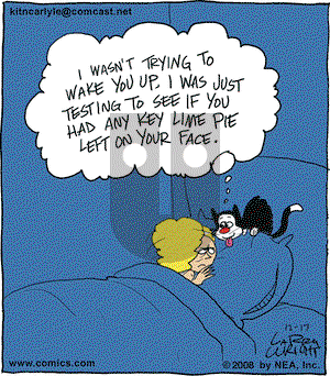 Kit 'N' Carlyle on Wednesday December 17, 2008 Comic Strip