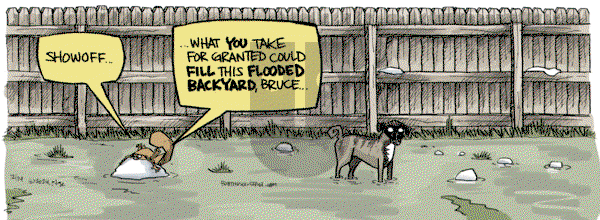 Bob the Squirrel - Saturday December 14, 2024 Comic Strip