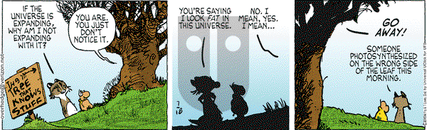 Over the Hedge on Saturday July 18, 2015 Comic Strip