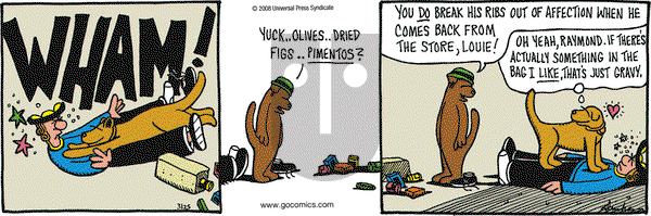 Overboard on Tuesday March 25, 2008 Comic Strip