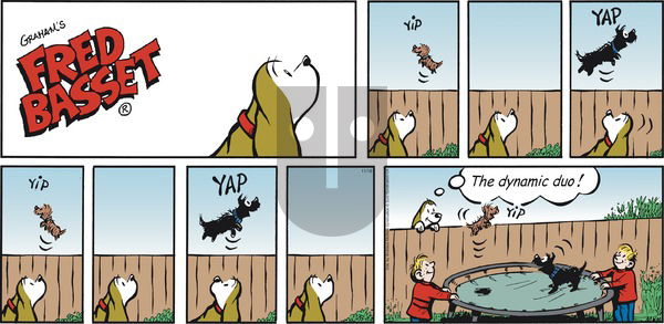 Fred Basset on Sunday November 10, 2019 Comic Strip