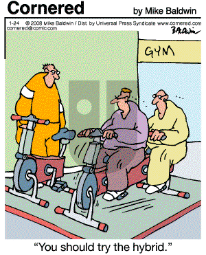 Cornered - Thursday January 24, 2008 Comic Strip