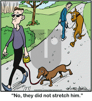 Marmaduke on Wednesday August 5, 2020 Comic Strip