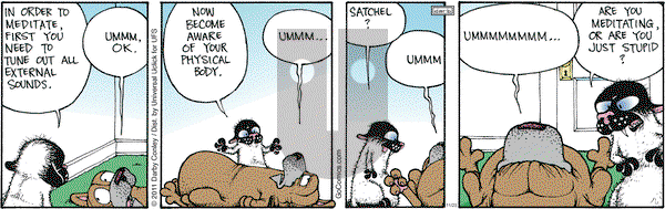 Get Fuzzy on Wednesday November 23, 2011 Comic Strip