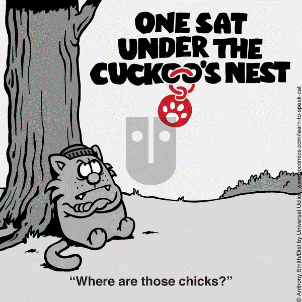 Learn to Speak Cat on Thursday May 15, 2025 Comic Strip