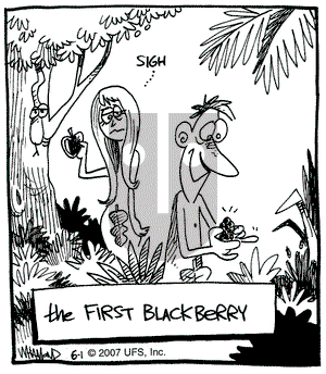 Reality Check on Friday June 1, 2007 Comic Strip