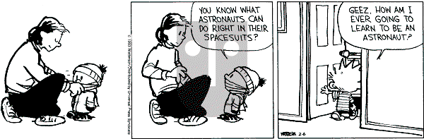 Calvin and Hobbes - Saturday February 6, 1993 Comic Strip
