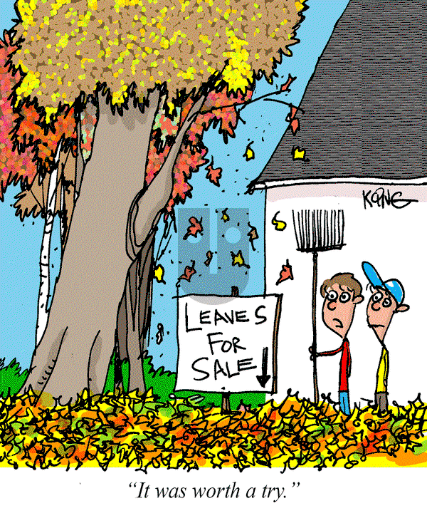 Jerry King Comics - Saturday September 30, 2023 Comic Strip