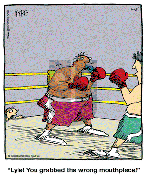 In the Bleachers on Tuesday January 15, 2008 Comic Strip