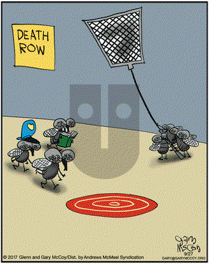 The Flying McCoys on Wednesday September 27, 2017 Comic Strip