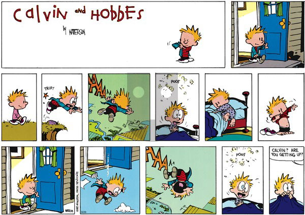 Calvin and Hobbes on Sunday November 19, 1989 Comic Strip
