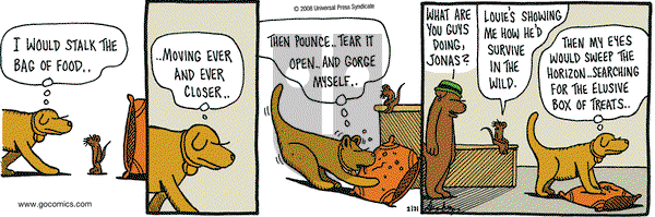 Overboard on Thursday February 21, 2008 Comic Strip