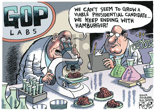 Rob Rogers on Thursday August 15, 2013 Comic Strip