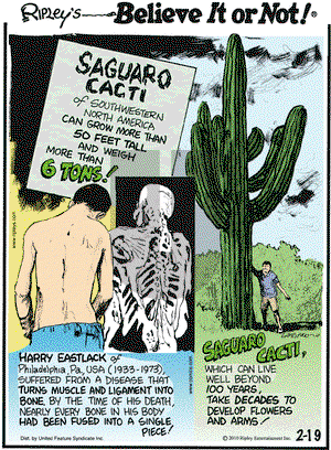 Ripley's Believe It or Not on Friday February 19, 2010 Comic Strip