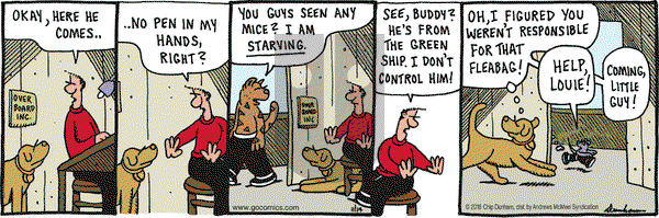 Overboard on Wednesday November 14, 2018 Comic Strip