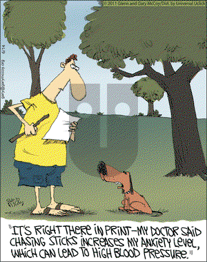 The Flying McCoys on Tuesday June 14, 2011 Comic Strip
